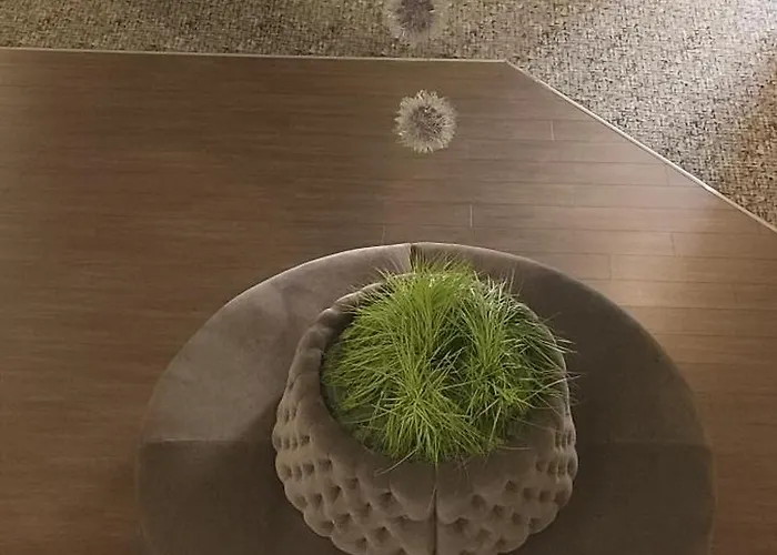 מלון Dedepark 3*